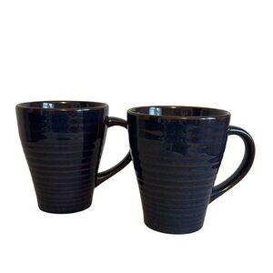 Pfaltzgraff Ribbed Design Mugs Set of 2 Stoneware Blue Pointe